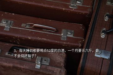 3、每天睡前都要喝點(diǎn)52度的白酒，一個(gè)月要五六斤，會(huì)不會(huì)燒壞腦子？