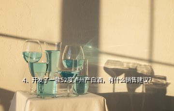 4、開發(fā)了一款52度瀘州產(chǎn)白酒，有什么銷售建議？