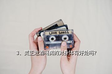 3、靈芝泡酒喝真的對(duì)身體有好處嗎？
