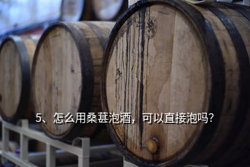 5、怎么用桑葚泡酒，可以直接泡嗎？