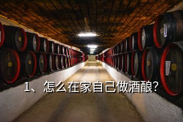 1、怎么在家自己做酒釀？