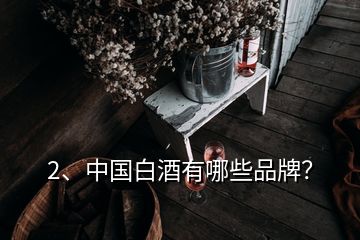 2、中國白酒有哪些品牌？
