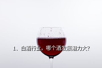 1、白酒行業(yè)，哪個(gè)酒發(fā)展?jié)摿Υ螅?></p><p>未來白酒消費(fèi)向名酒品牌集中，向區(qū)域龍頭品牌集中，向品類代表品牌集中。總的來說，全國(guó)化會(huì)向百億級(jí)品牌集中，區(qū)域化品牌會(huì)50億級(jí)龍頭品牌集中，目前過百億的企業(yè)有10家：1、<a href=
