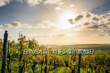 3、白酒泡大蒜，用多少度的酒泡好？