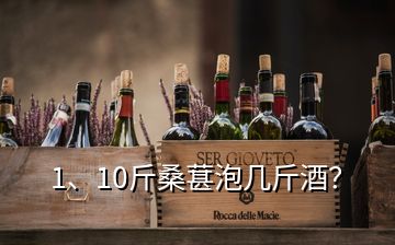 1、10斤桑葚泡幾斤酒？