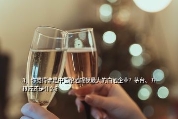 3、你覺得誰是中國釀酒規(guī)模最大的白酒企業(yè)？茅臺、五糧液還是什么？