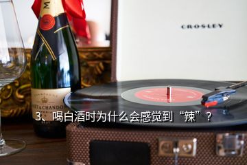 3、喝白酒時為什么會感覺到“辣”？