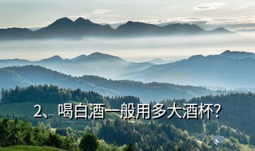 2、喝白酒一般用多大酒杯？