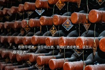 1、和領(lǐng)導喝酒，領(lǐng)導喝白酒，我喝紅酒或啤酒，該怎么敬領(lǐng)導酒？