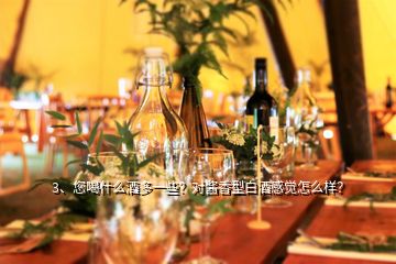 3、您喝什么酒多一些？對(duì)醬香型白酒感覺(jué)怎么樣？