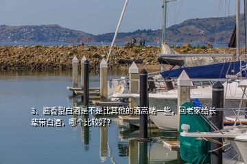 3、醬香型白酒是不是比其他的酒高端一些，回老家給長(zhǎng)輩帶白酒，哪個(gè)比較好？
