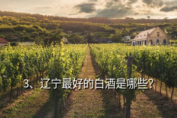 3、遼寧最好的白酒是哪些？