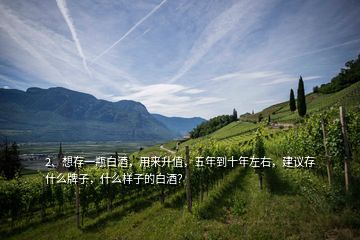 2、想存一瓶白酒，用來升值，五年到十年左右，建議存什么牌子，什么樣子的白酒？