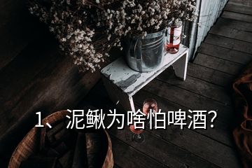 1、泥鰍為啥怕啤酒？