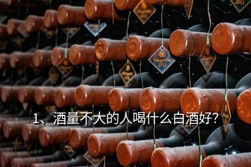 1、酒量不大的人喝什么白酒好？