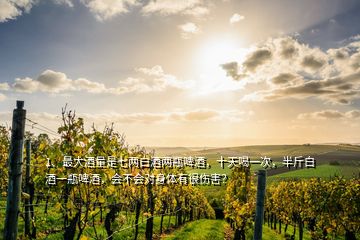 1、最大酒量是七兩白酒兩瓶啤酒，十天喝一次，半斤白酒一瓶啤酒，會(huì)不會(huì)對(duì)身體有很傷害？