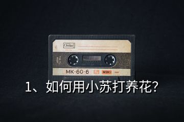 1、如何用小蘇打養(yǎng)花？