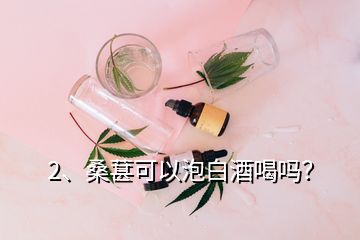 2、桑葚可以泡白酒喝嗎？