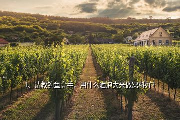 1、請教釣魚高手，用什么酒泡大米做窩料好？