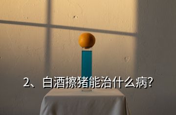 2、白酒擦豬能治什么?。?></p><p>白酒是生活中的交際品，更是廚房中的調(diào)料，在豬場(chǎng)中也有很多的妙用，少量的白酒能夠活血、散寒等作用；今天就給大家說(shuō)下白酒在豬場(chǎng)中的妙用；1、母豬不給小豬吃奶咬小豬，這個(gè)時(shí)候耳朵灌服20ml，或者口服100ml-250ml高度酒看看，一般就能很快安靜了；2、豬群合圈，出現(xiàn)打架的時(shí)候，可以噴白酒，有時(shí)候也用花露水，只要味道一樣了一般就不咬架了，并圈注意晚上做，因?yàn)樨i本身眼神就不好；3、母豬不發(fā)情、沒(méi)有奶水的情況下，炒紅糖搭配白酒口服效果好；4、母豬乳房炎，單純的藥物治療效果可能不是特別及時(shí)，咱們的小豬還得著吃奶，可以注射藥物的同時(shí)，熱毛巾敷乳房，如果上面加上高度白酒或者有醋效果會(huì)更好；5、臍疝、脫肛等，出現(xiàn)的時(shí)候首先歸位，然后分點(diǎn)皮下注射酒精；每個(gè)地方2ml，可以刺激豬形成組織，長(zhǎng)起來(lái)就能堵住出來(lái)的腸道；7、豬腦袋歪1側(cè)，如果藥物不好的時(shí)候，可以用白酒注射另一側(cè)的脖子，有時(shí)候就能治好；8、小豬拉稀，適量后海穴注射能夠起到治療作用；9、豬如果中暑了，或者高燒的時(shí)候，可以用白酒擦下；10、長(zhǎng)途運(yùn)輸，為了防止應(yīng)激也可以口服些白酒，這樣豬就毛病少了；白酒因?yàn)橛袣⒕淖饔茫允悄軌蚩刂撇簧俚募膊?；但是酒糟使用的時(shí)候要注意用量；白酒的10個(gè)妙用，減少豬場(chǎng)問(wèn)題，不花錢(qián)解決大家的豬病！。</p>
</div>
</div>
<div   id=