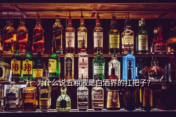 2、為什么說(shuō)五糧液是白酒界的扛把子？