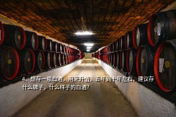 4、想存一瓶白酒，用來升值，五年到十年左右，建議存什么牌子，什么樣子的白酒？