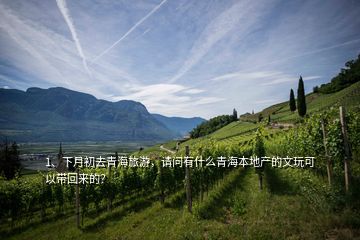 1、下月初去青海旅游，請問有什么青海本地產(chǎn)的文玩可以帶回來的？