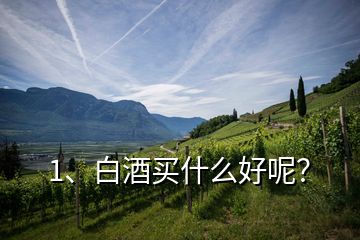 1、白酒買(mǎi)什么好呢？