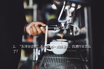 2、“五洋汾古郎”五大名酒一窩蜂漲價(jià)，白酒行業(yè)怎么了？