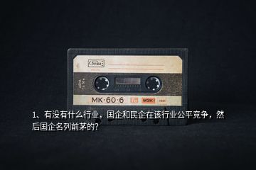 1、有沒有什么行業(yè)，國企和民企在該行業(yè)公平競爭，然后國企名列前茅的？