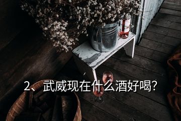 2、武威現在什么酒好喝？