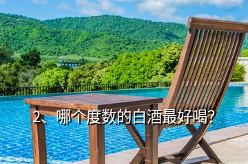 2、哪個(gè)度數(shù)的白酒最好喝？