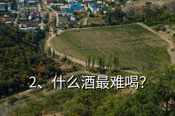 2、什么酒最難喝？