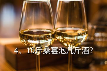 4、10斤桑葚泡幾斤酒？