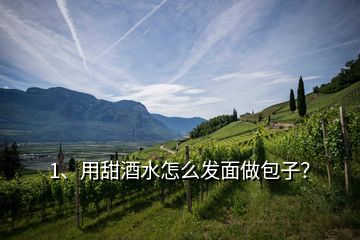 1、用甜酒水怎么發(fā)面做包子？