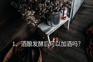 1、酒釀發(fā)酵后可以加酒嗎？