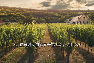 3、這段時間白酒又開始上漲，為什么？