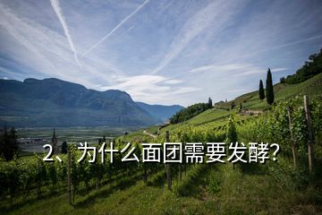 2、為什么面團(tuán)需要發(fā)酵？