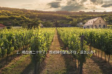 2、喝白酒二十年了，想戒掉但是忍不住，該怎么辦？