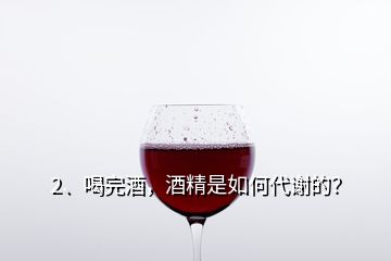 2、喝完酒，酒精是如何代謝的？