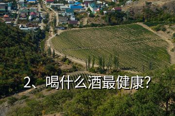 2、喝什么酒最健康？