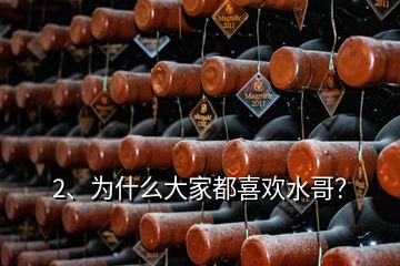 2、為什么大家都喜歡水哥？