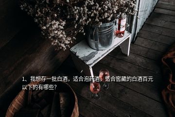 1、我想存一批白酒，適合泡藥酒，適合窖藏的白酒百元以下的有哪些？