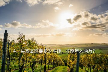4、買基金需要多少本錢，才能年入兩萬？