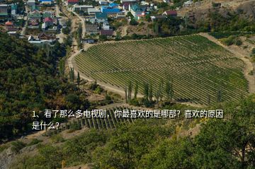 1、看了那么多電視劇，你最喜歡的是哪部？喜歡的原因是什么？