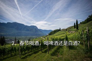 2、春節(jié)喝酒，喝啤酒還是白酒？