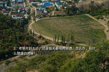 3、老爸年齡大了，還是每天要喝兩頓酒，怎么辦，有什么健康白酒嘛？