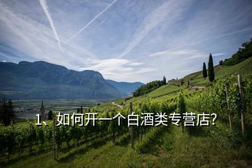 1、如何開一個白酒類專營店？