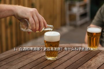 1、白酒和啤酒哪個(gè)更容易發(fā)胖？有什么科學(xué)依據(jù)？