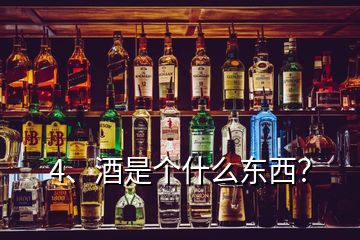 4、酒是個什么東西？